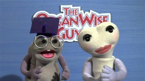 Organ Wise Guys  